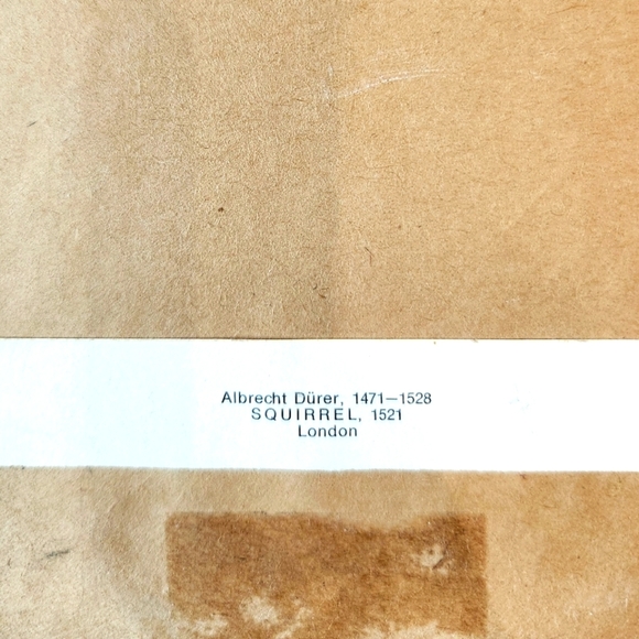 Vintage Albrecht Durer "Squirrel" Print - Picture 3 of 7